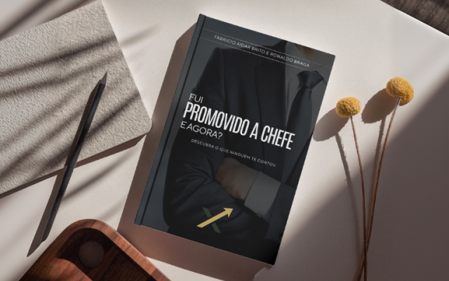 Fui Promovido a Chefe, e agora?